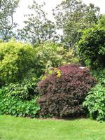 Besuch von Privatgärten auf Jersey