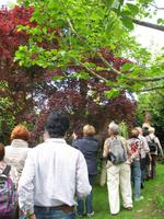 Besuch von Privatgärten auf Jersey