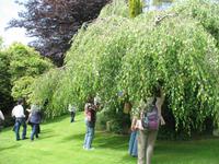 Besuch von Privatgärten auf Jersey
