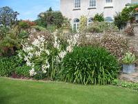 Besuch von Privatgärten auf Jersey