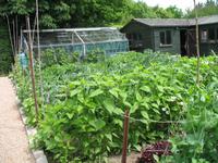 Besuch von Privatgärten auf Jersey