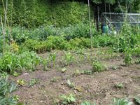 Besuch von Privatgärten auf Jersey