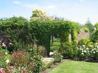 Besuch von Privatgärten auf Jersey