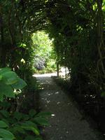 Besuch von Privatgärten auf Jersey