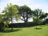 Besuch von Privatgärten auf Jersey