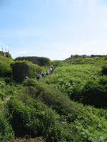 Wanderung St Aubin's Bay zum La Corbière und St Brelade's Bay auf Jersey