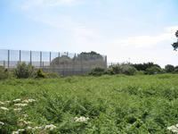 Wanderung St Aubin's Bay zum La Corbière und St Brelade's Bay auf Jersey