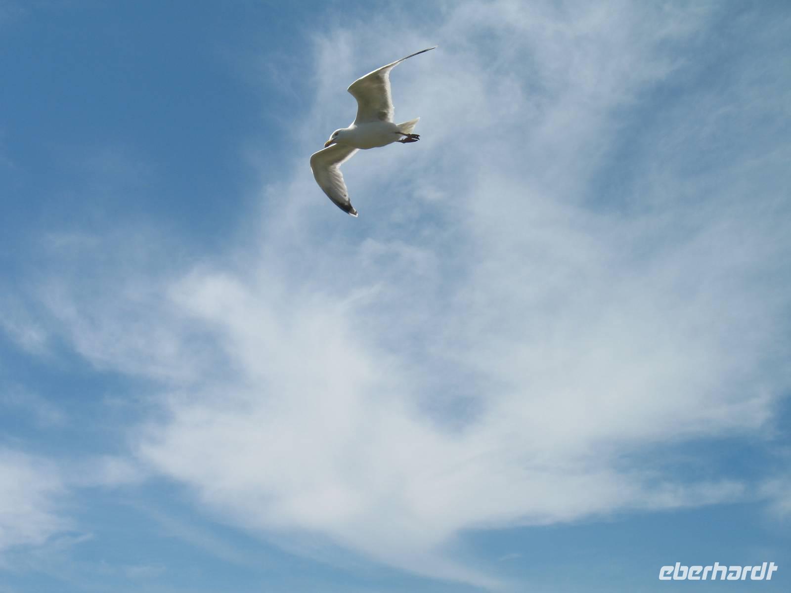 Wanderung St Aubin's Bay zum La Corbière und St Brelade's Bay auf Jersey