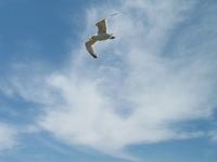 Wanderung St Aubin's Bay zum La Corbière und St Brelade's Bay auf Jersey