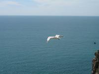 Wanderung St Aubin's Bay zum La Corbière und St Brelade's Bay auf Jersey