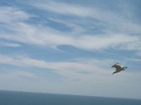 Wanderung St Aubin's Bay zum La Corbière und St Brelade's Bay auf Jersey