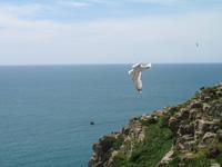Wanderung St Aubin's Bay zum La Corbière und St Brelade's Bay auf Jersey