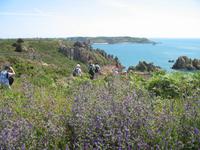 Wanderung St Aubin's Bay zum La Corbière und St Brelade's Bay auf Jersey