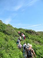 Wanderung St Aubin's Bay zum La Corbière und St Brelade's Bay auf Jersey