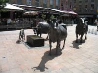 Jersey Entdeckungstour am Nachmittag