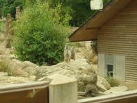 Endlich gut zu sehen!