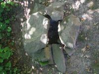 Darstellung bestimmter Gräberformen