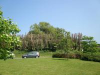 Aussengelände Eric Young Orchid Foundation 