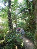 062 Rückweg zur Fähre