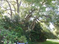 Garten von Fam. Miles