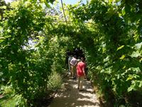 Garten von Mrs. Skinner