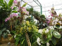 Eric Young Foundation