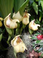 Eric Young Foundation