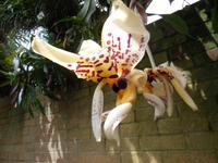 Eric Young Foundation