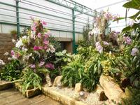 Eric Young Foundation