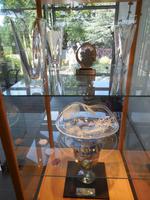 Eric Young Foundation