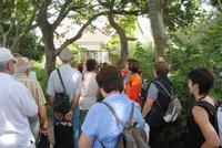 Heidi erzählt von Sark im Schatten der Bäume