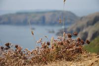 Blick auf Nachbarinsel vom La Coupee
