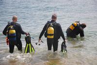 Taucher - suchen vielleicht nach Muscheln
