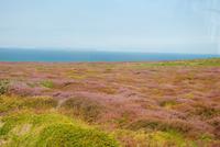 Heide am Grosnez Castle