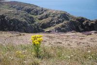 Landschaft am Grosnez Castle