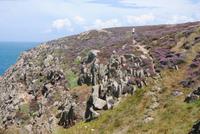 Heide am Grosnez Castle