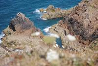 Klippen am Grosnez Castle