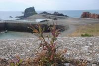Elisabeth Castle - Blick auf  Rock