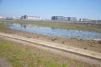 Befestigter Weg bei Ebbe zum Elisabeth Castle