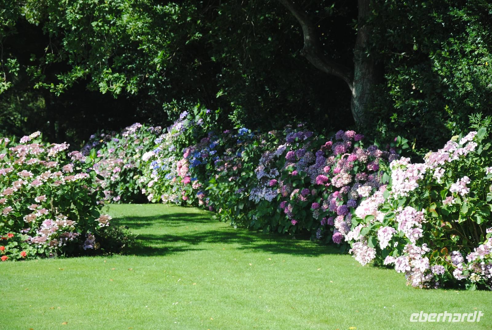 Garten von Mr. Miles