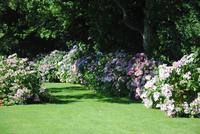 Garten von Mr. Miles