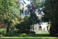 Garten von Mr. Miles