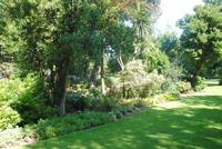 Garten von Mr. Miles 