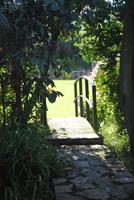 Garten von Mr. Miles