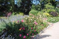 Garten von Mr. Miles