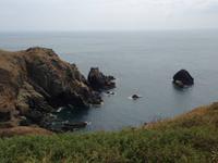 Steilküste von Guernsey