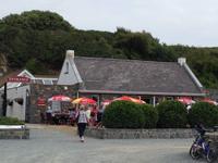 Mittagspause Guernsey Pearl