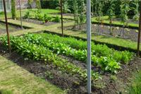 Gartentour - Kräutergarten