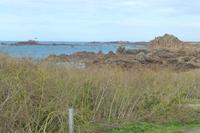 Guernsey - Grandes Roques