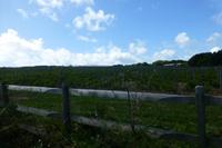 Sark - Wanderung zu Little Sark